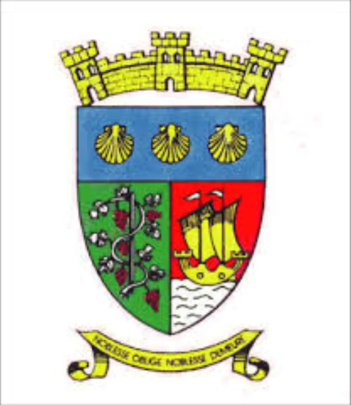 image(54).png